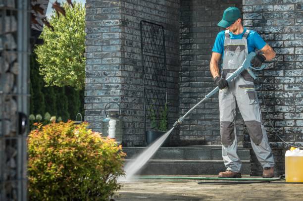 Best Gutter Cleaning  in Red Lake, MN